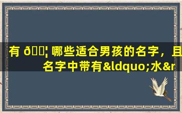 有 🐦 哪些适合男孩的名字，且名字中带有“水”字